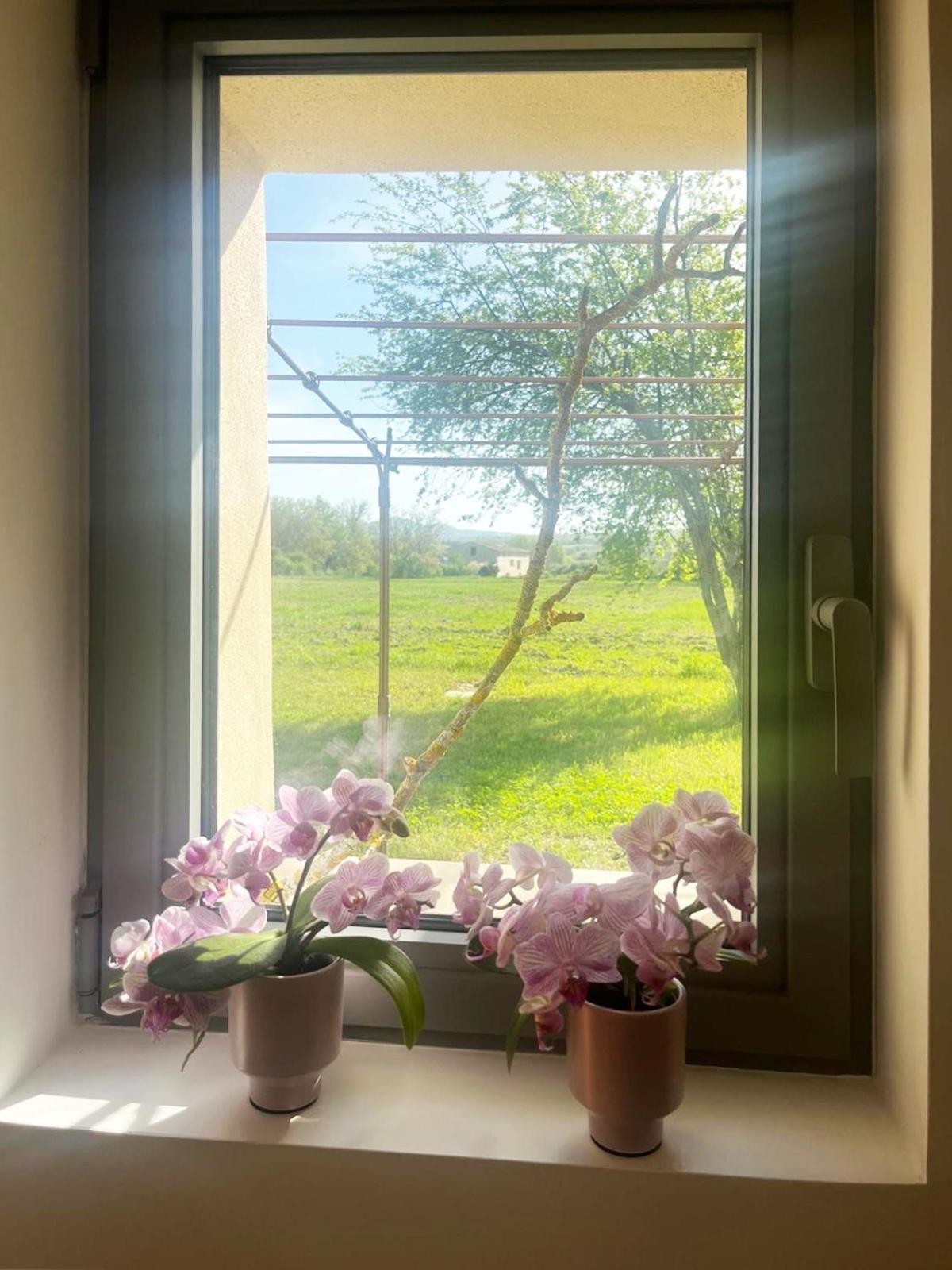 Le Petit Cabanon Provencal Villa Mane  Bagian luar foto